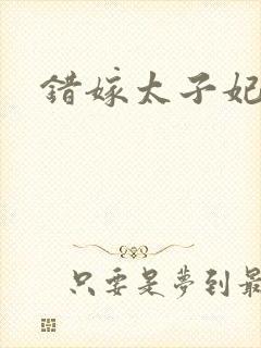 错嫁太子妃小说