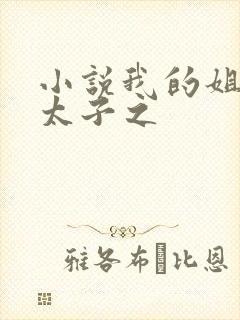 小说我的姐夫是太子之