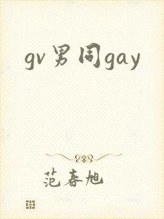 gv男同gay