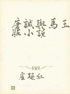 唐诚与马玉婷原版小说