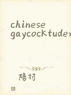 chinesegaycocktudexxx封面