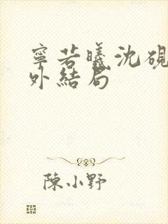 宁若曦沈砚舟番外结局