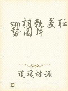 sm调教羞耻姿势图片