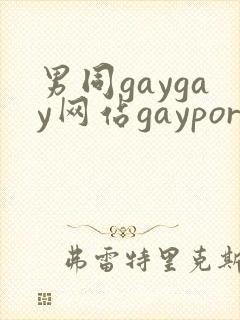 男同gaygay网站gayporn