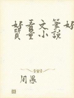 好看文笔好的高质量小说