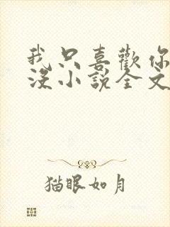 我只喜欢你的人没小说全文免费阅读封面