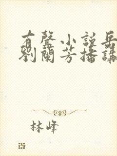 有声小说岳飞传刘兰芳播讲