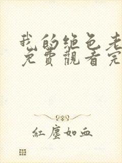 我的绝色老板娘免费观看完整版封面