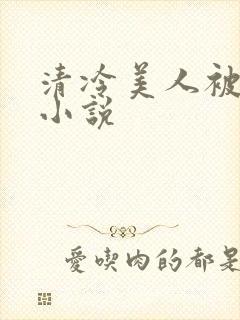 清冷美人被爆操小说