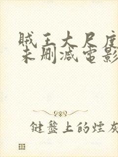 贼王大尺度做爰未删减电影