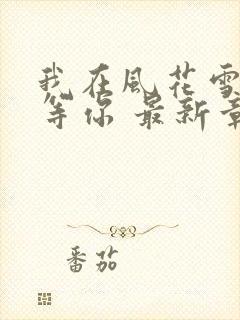 我在风花雪月里等你 最新章节