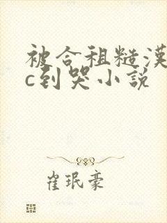 被合租糙汉室友c到哭小说