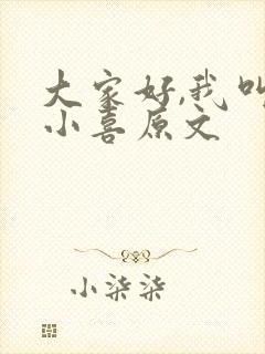 大家好,我叫林小喜原文封面