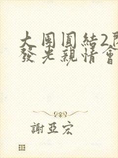 大团圆结2闪闪发光亲情会