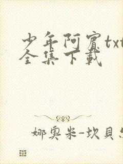 少年阿宾txt全集下载