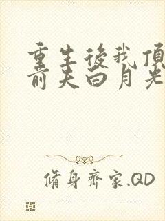 重生后我顶替了前夫白月光大概剧情