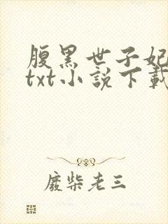 腹黑世子妃日常txt小说下载