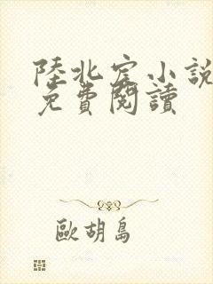 陆北宸小说全文免费阅读