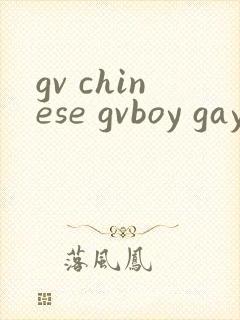 gv chinese gvboy gay tube封面