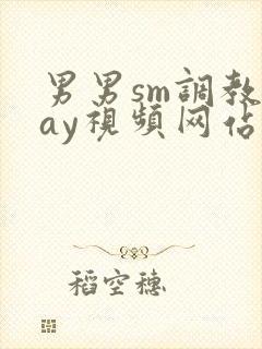 男男sm调教gay视频网站