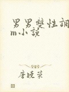 男男双性调教sm小说