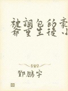 被调包的豪门少爷重生后 小说