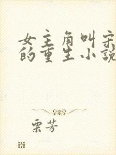 女主角叫宋安然的重生小说封面