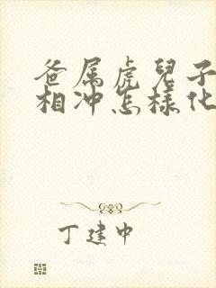 爸属虎儿子属猴相冲怎样化解封面