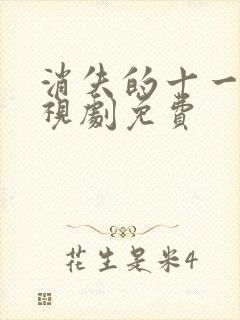 消失的十一层电视剧免费封面