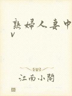 熟妇人妻中文av