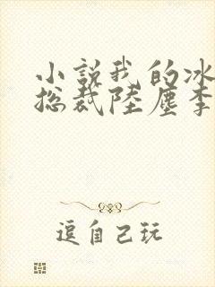 小说我的冰山女总裁陆尘李清瑶免费阅读