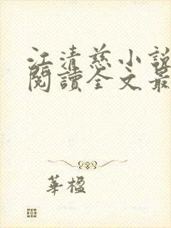 江清慈小说免费阅读全文最新章节