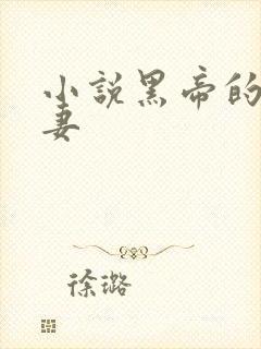 小说黑帝的呆萌妻