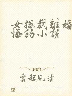 女总裁离婚又后悔的小说