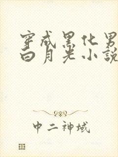 穿成黑化男主的白月光小说