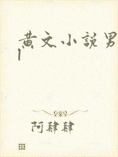 黄文小说男男bl封面