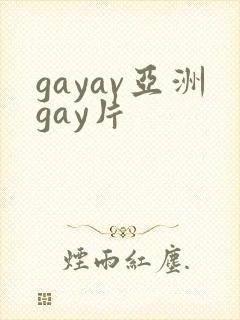 gayav亚洲gay片封面