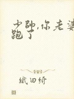 少帅,你老婆又跑了