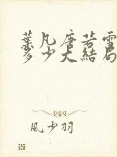 叶凡唐若雪全集多少大结局封面