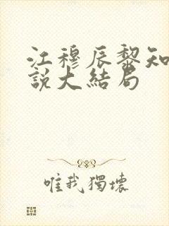 江穆辰黎知忆小说大结局