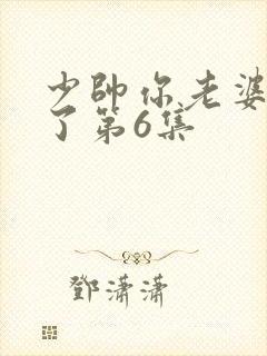 少帅你老婆又跑了第6集封面