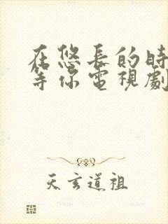 在悠长的时光里等你电视剧免费观看完整版封面