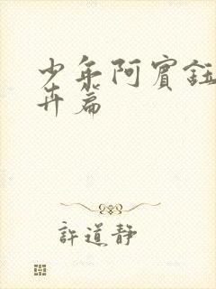 少年阿宾钰慧孟卉篇