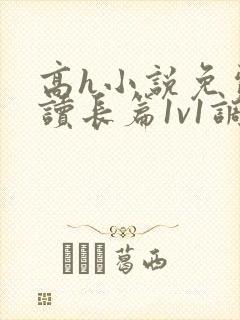 高h小说免费阅读长篇1v1调教封面