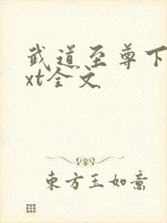 武道至尊下载txt全文