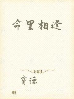 命里相逢