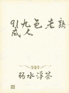 91九色老熟女成人