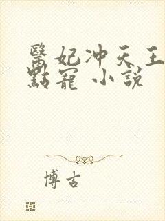 医妃冲天王爷轻点宠 小说