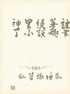 神里绫华被悼哭了小说趣笔阁