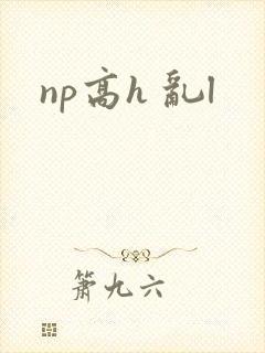 np高h 乱l